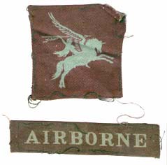 Airborne Division insignia